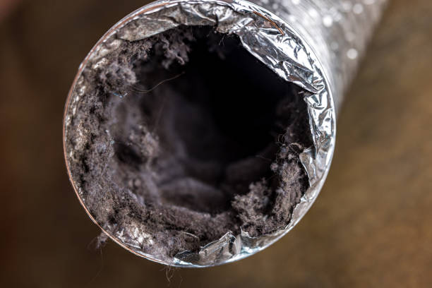Best HVAC Duct Inspection Services  in Eunice, NM