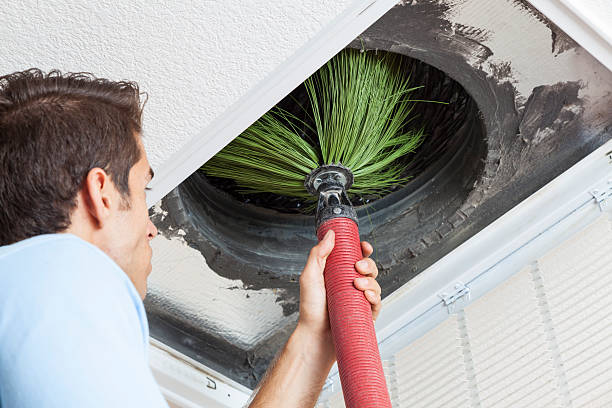 Best Home Air Vent Cleaning  in Eunice, NM